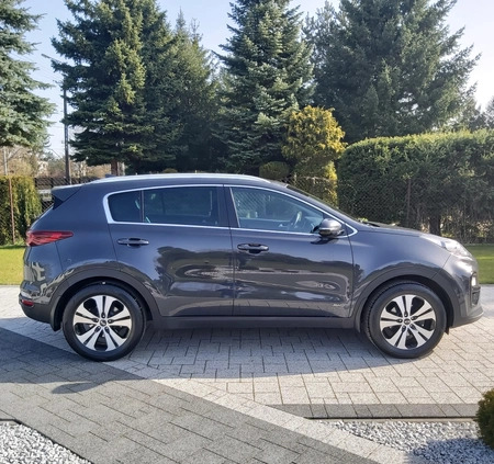 Kia Sportage cena 77900 przebieg: 178162, rok produkcji 2019 z Zambrów małe 326